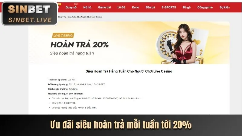 Tổng hợp các biểu ngữ khuyến mãi bet365vnd
